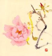 習画帖 > 第10輯『花』 筆者 大島祥丘 > 『寒牡丹』