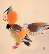 習画帖 > 第12輯『鳥』 筆者 大島祥丘 > 『鴛鴦(おしどり)』