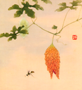 習画帖 > 第13輯『虫』 筆者 大島祥丘 > 『蜂』