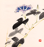 習画帖 > 第2輯『花』 筆者 大島祥丘 > 『朝顔』