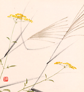 習画帖 > 第4輯『花』 筆者 大島祥丘 > 『女郎花(オミナエシ)』